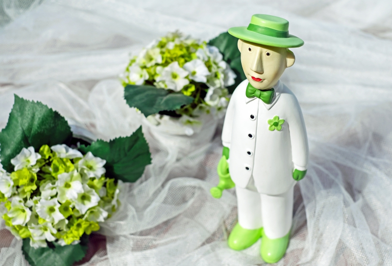 ecommerce-CANNES-min_man-person-flower-green-toy-fig-546529-pxhere.com